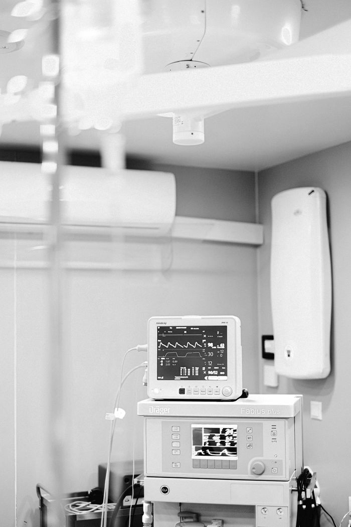 Pexels Photo 4421501
